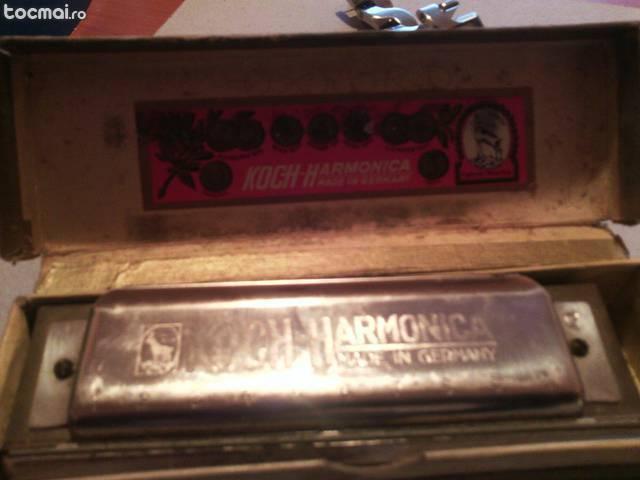 koch- harmonica