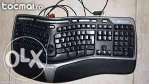tastatura microsoft