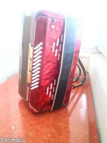 Acordeon Delicia