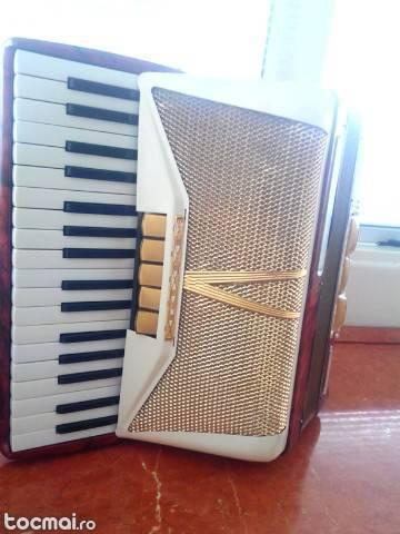 Acordeon Delicia