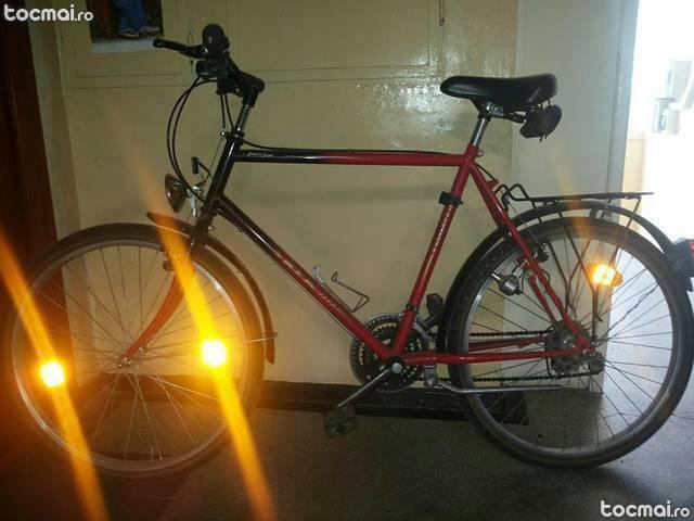 Bicicleta Rex