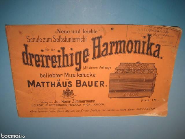 Manual acordeon vechi Dreireihige Harmonika Matthaus Bauer