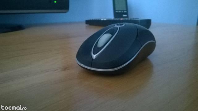 Mouse LG
