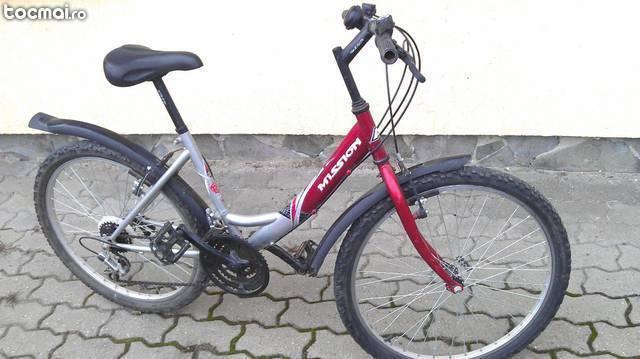 bicicleta 24 