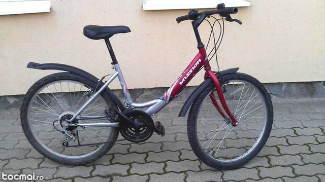 bicicleta 24 