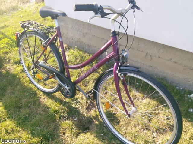 bicicleta dama pegasus