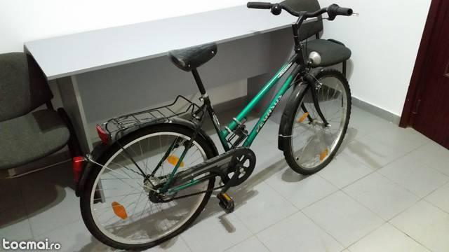 Bicicleta Pegas KM40