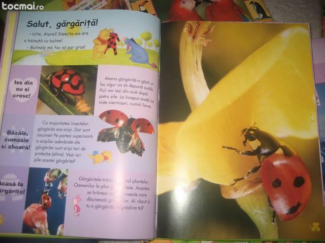 Colectie Enciclopedii Completa Winnie the Pooh ilustrate!