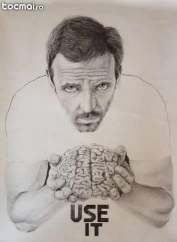 Afis portret Dr. House - USE IT