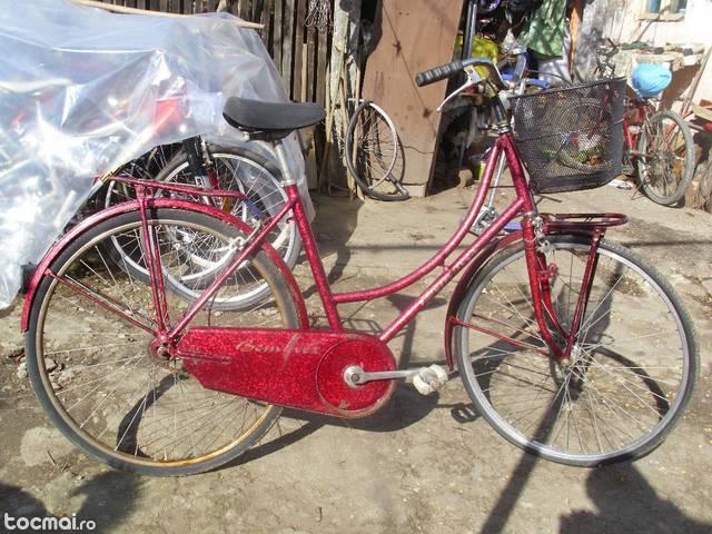 bicicleta bike