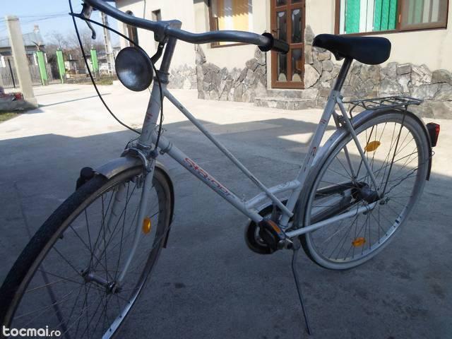 Bicicleta de dama