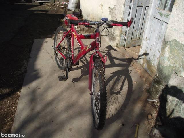 Bicicleta first bike