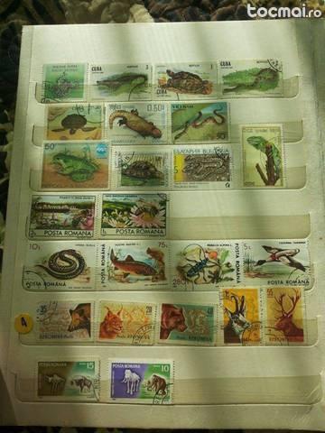 Colectie de timbre