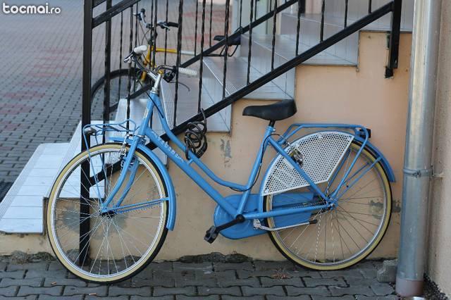 Bicicleta de oras Vicini