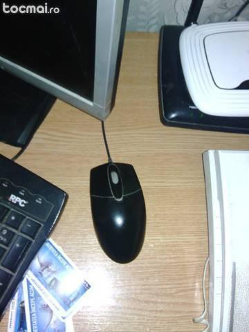 Mouse si tastatura usb