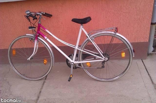 bicicleta de dama