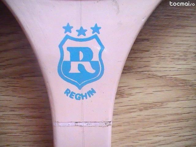 paleta reghin