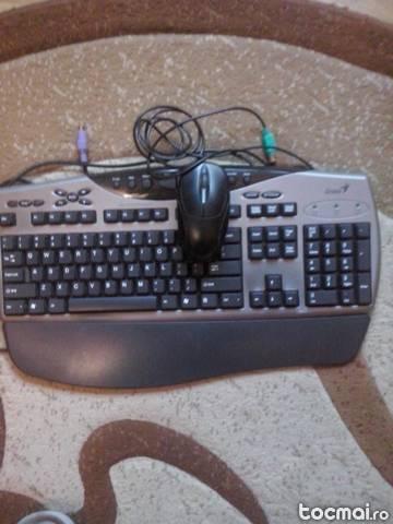 Mouse + tastatura genius