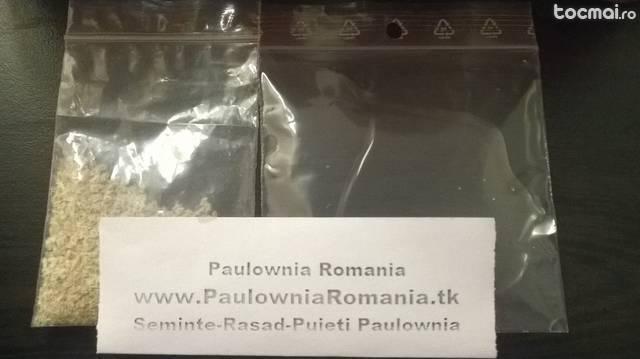 Seminte Paulownia Tomentosa Hibrid - Ramnicu Valcea