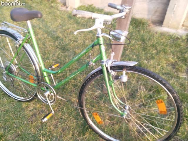 bicicleta de dama verde
