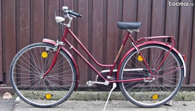 Bicicleta de oras Gelderland