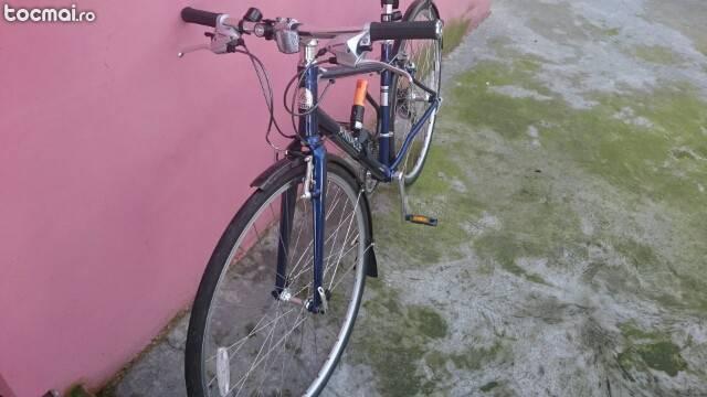 bicicleta pinnacle neon two