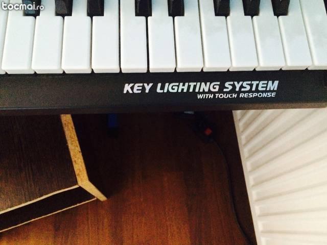 Orga key lighting sistem
