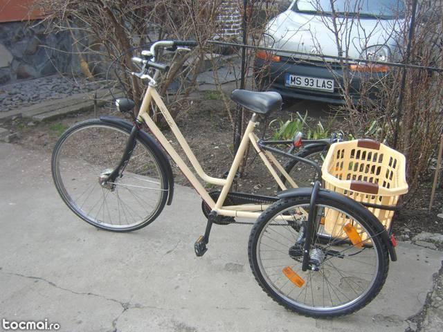 Tricicleta