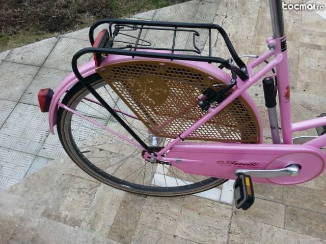 Bicicleta Aereli