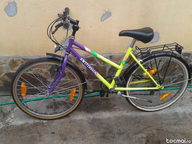 Bicicleta SwitchBack pentru copii