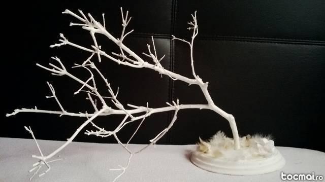 Copacel decorativ- bonsai