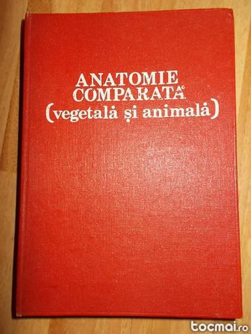 Anatomie comparata (vegetala si animala)