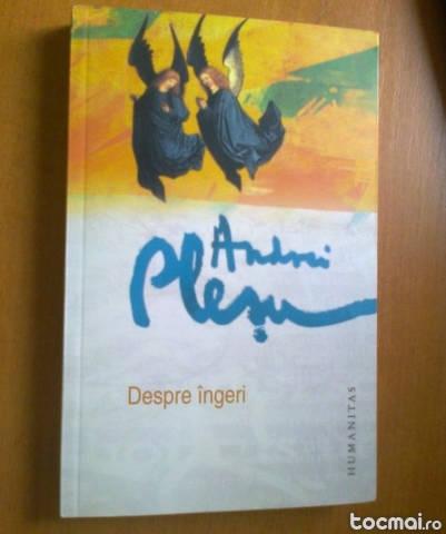 Andrei plesu - despre ingeri