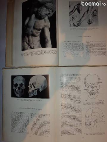 Anatomie artistica (3 vol)- Gh. Ghitescu