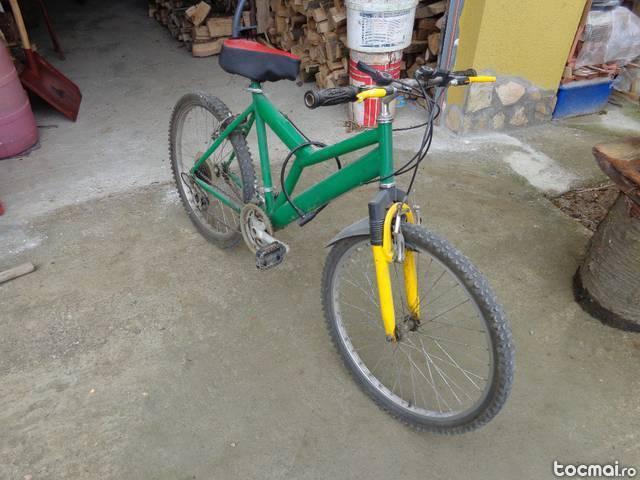 Mountain- bike